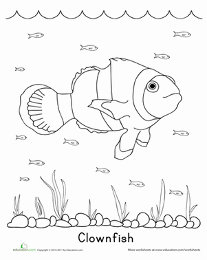 301x378 Color The Clownfish Worksheet