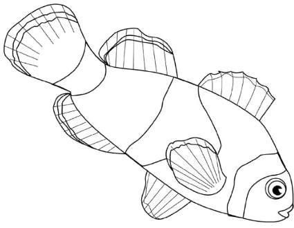 425x330 How To Draw Sea Animals