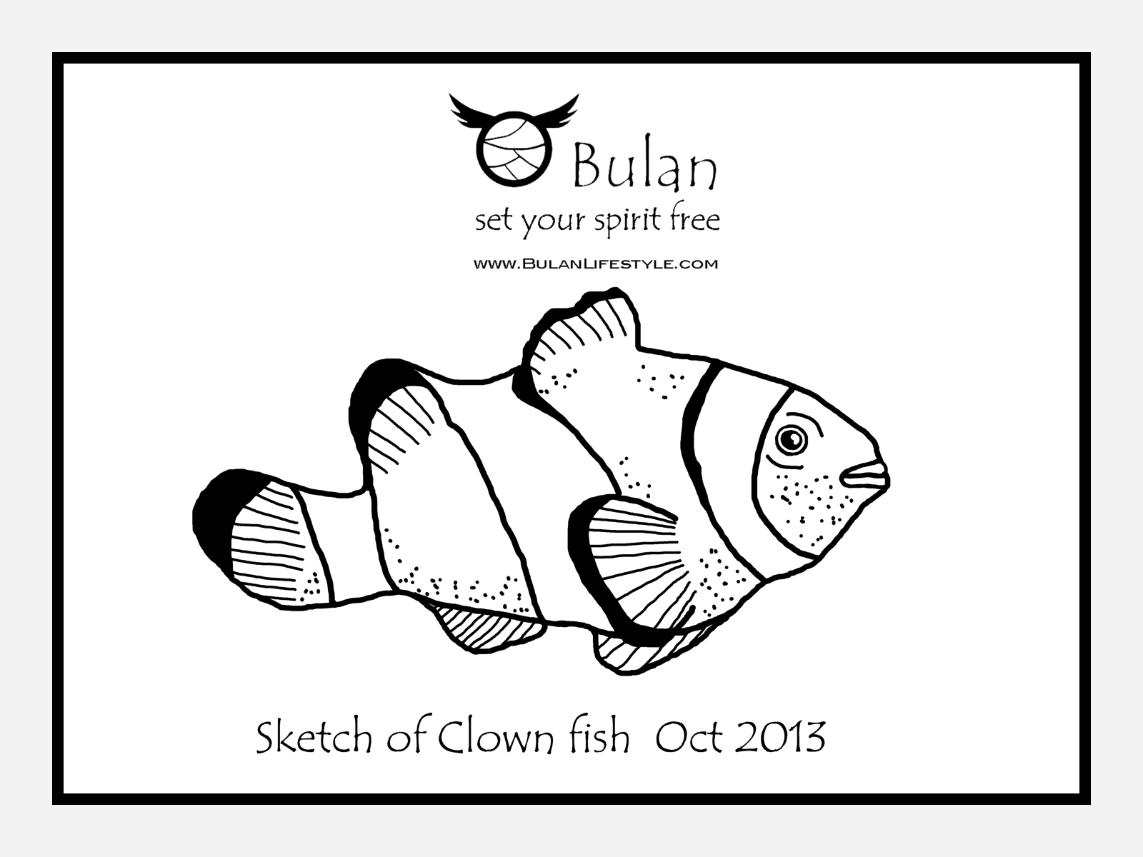 1600x1200 Clown Fish Drawing The Crazy Bag Lady