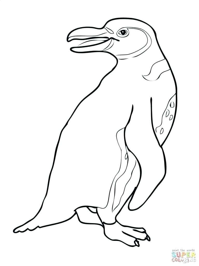 767x1024 Club Penguin Puffles Coloring Pages Club Penguin Coloring Page