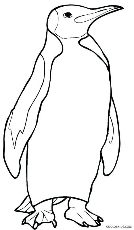 466x797 Penguin Coloring Pages Cortefocal.site