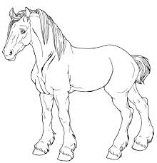 220x229 Image Result For Clydesdale Drawing Fair