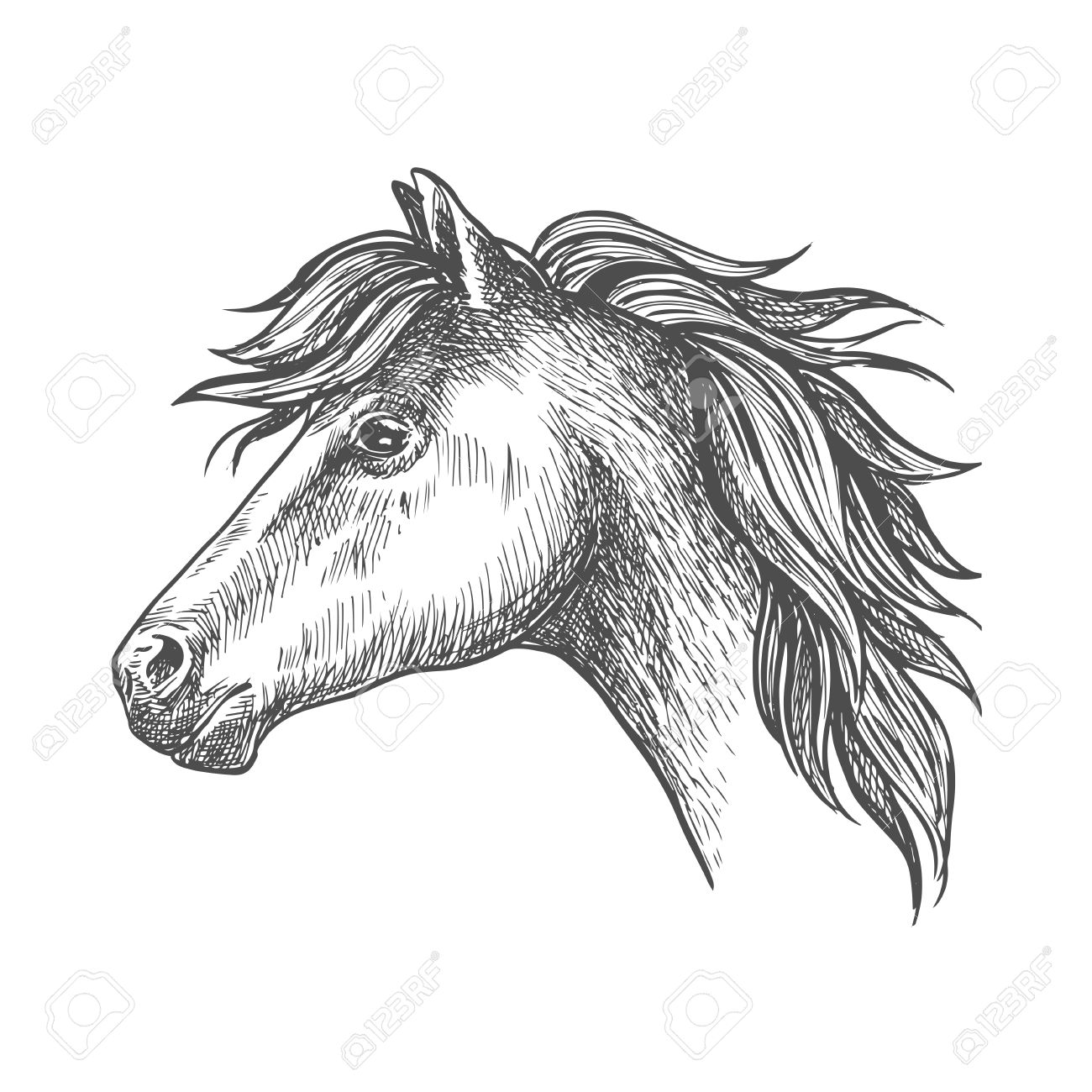1300x1300 Profile Of Heavy Farm Horse Isolated Sketch Icon Of Clydesdale