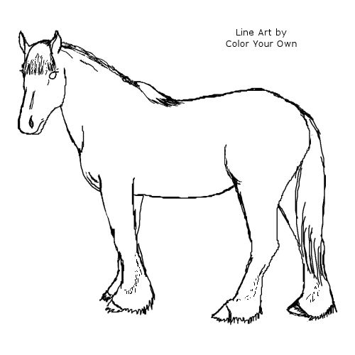 500x500 Clydesdale Horse Coloring Page