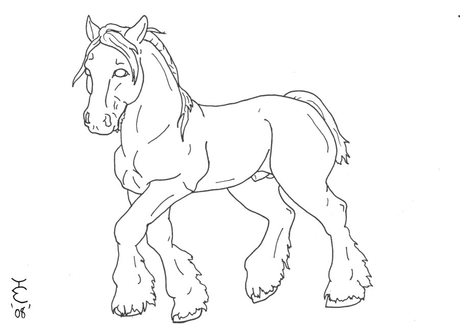900x636 Clydesdale Lineart By Tobiteus