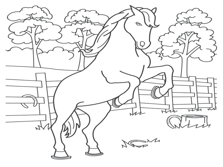 870x653 Printable Coloring Pages Horses Click The Horse And Foal Coloring