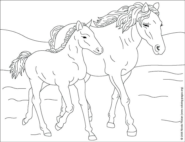 736x566 Coloring Horse Baby Horse Coloring Pages Horse Coloring Picture 1