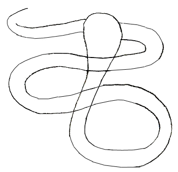 350x338 How To Draw A Snake