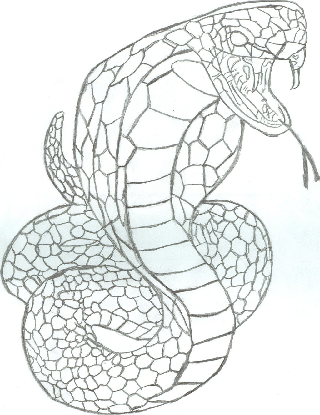 1024x1327 King Cobra By Luis4646