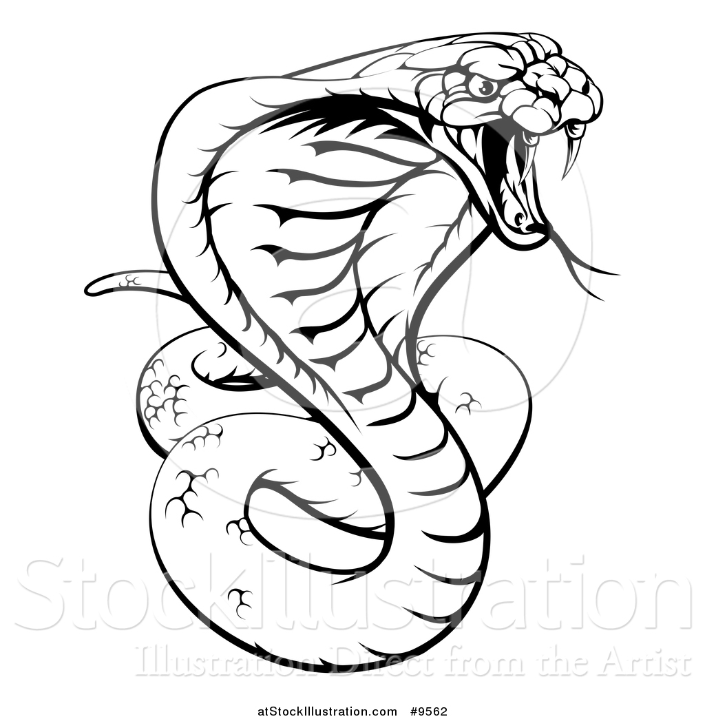 Cobra Drawing at GetDrawings | Free download