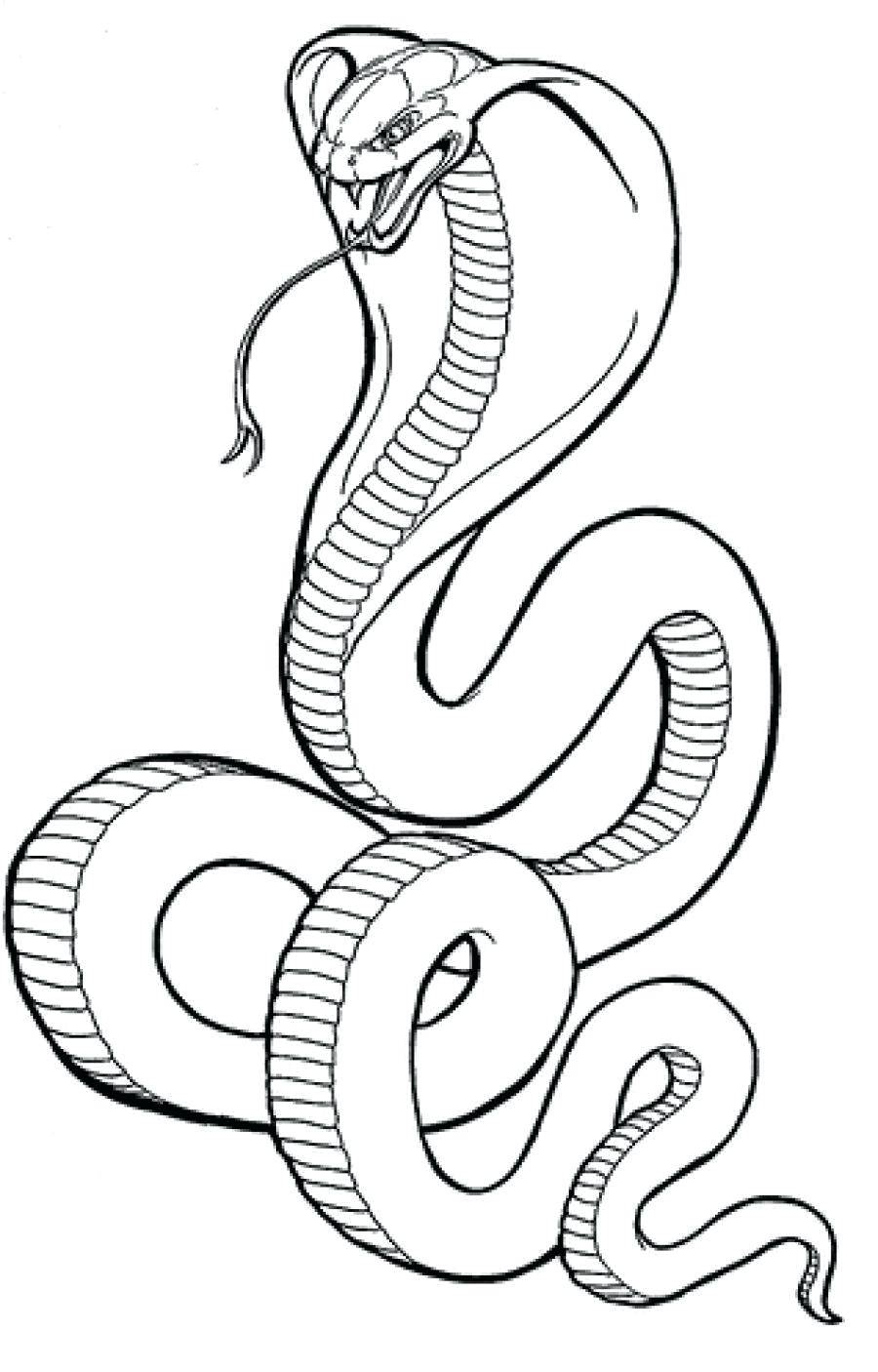 900x1406 Coloring Tattoo Coloring Pages Printable King Cobra Drawing Snake