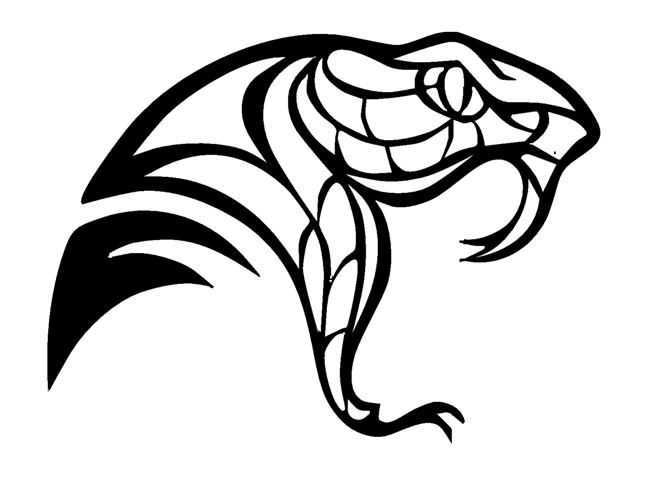 646x480 Image Result For Snake Face Cobra Drawing Dresses