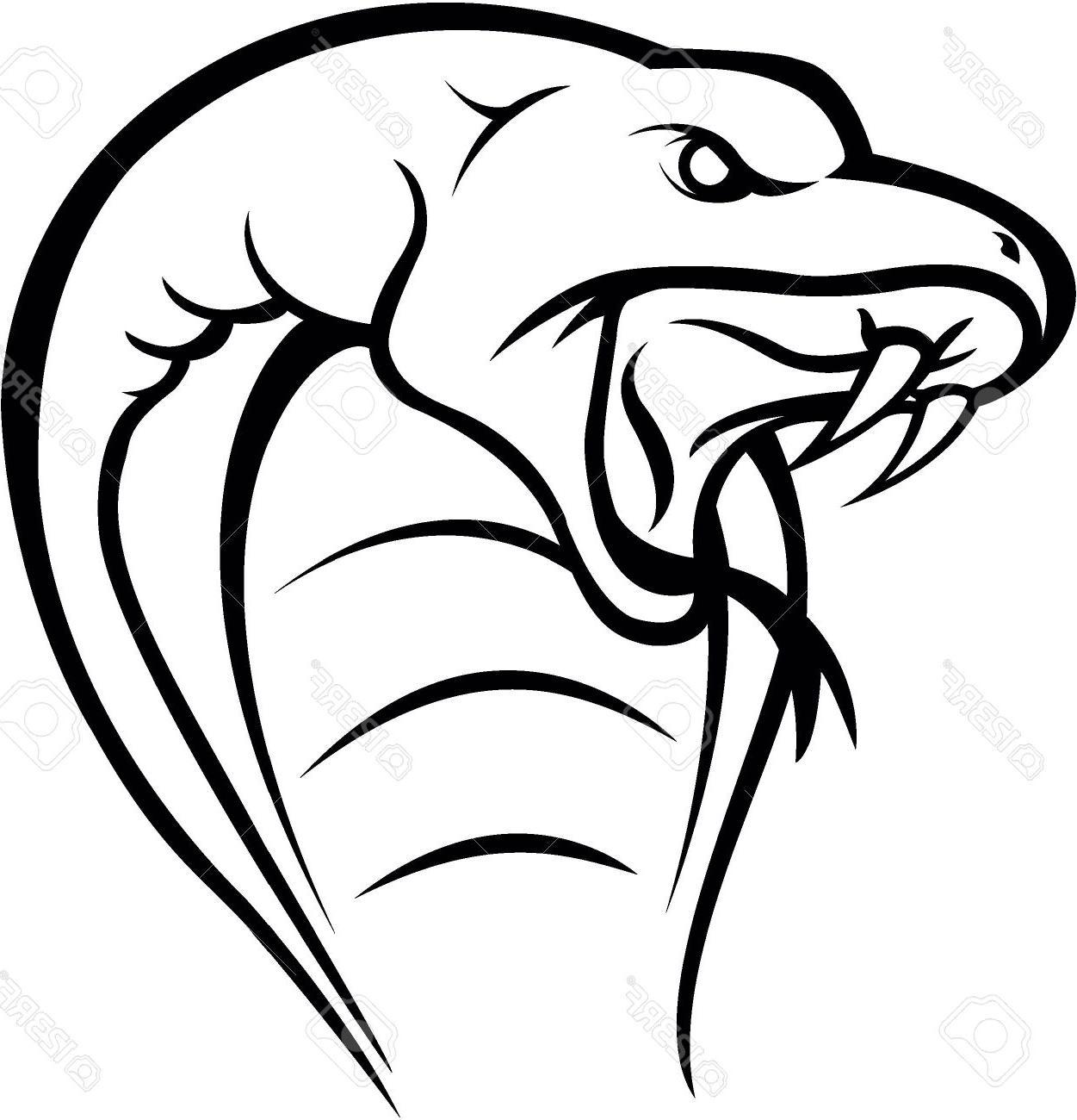 1251x1300 Tattoo Pictures Of Cobra Snakes
