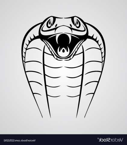 422x480 Tiny King Cobra Head Royalty Free Vector Image