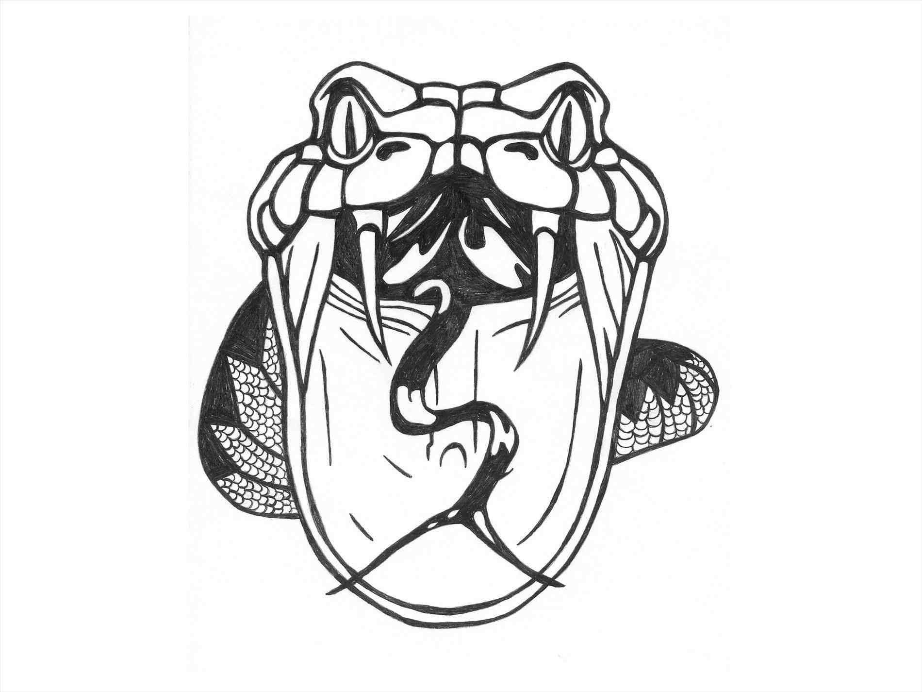 1900x1425 Cobra Snake Head Drawings
