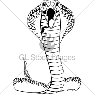 325x325 Cobra Snake Gl Stock Images