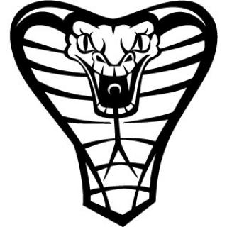 320x320 Cobra Snake Vector Photo Free Download