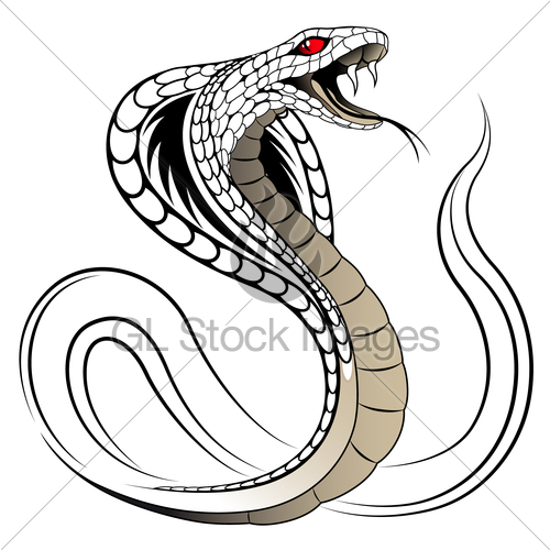 500x500 Drawn Cobra Snake Strike
