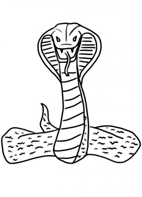 550x761 King Cobra Coloring Pages