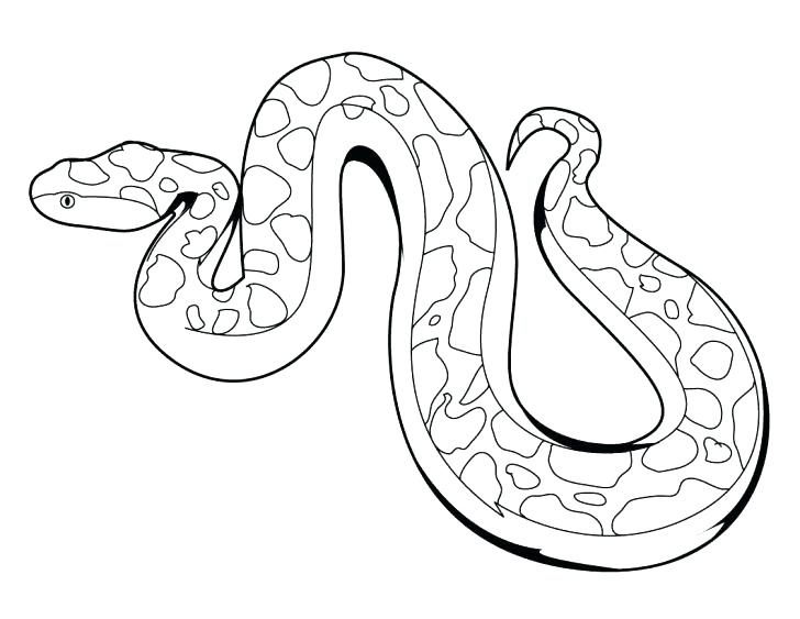 728x563 Snake Color Page Print Snake On Tree Coloring Page In Full Size