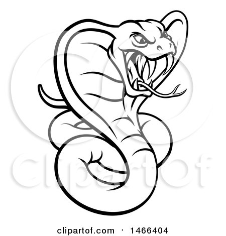 450x470 Clipart Of A Black And White Angry Green King Cobra Snake