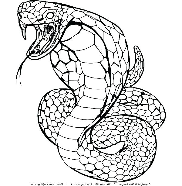 600x612 Snake Coloring Pages New Year Snake Coloring Pages Cobra Snake