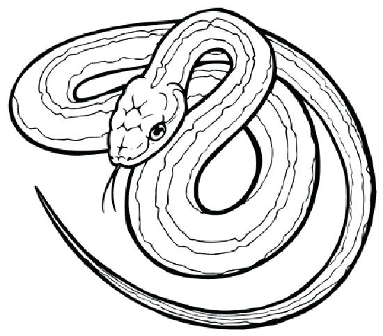 550x482 Snake Coloring Picture Download Snake Coloring Pages 6 Cobra Snake