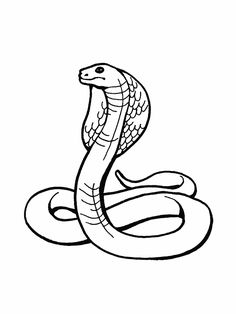 236x314 Snake Drawings For Kids King Cobra Coloring Pages Backyard