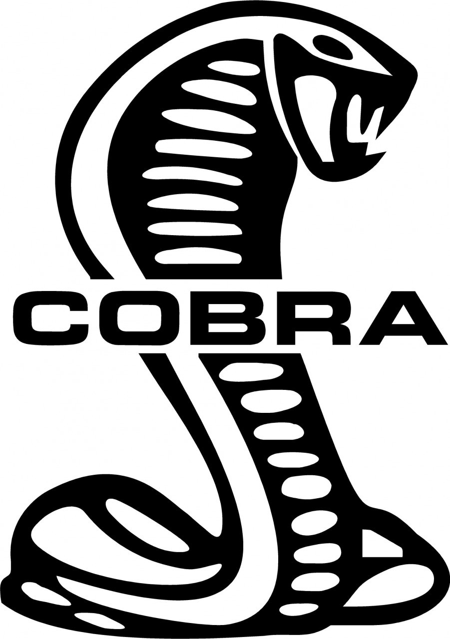 901x1280 Cobra Clipart Cobra Head