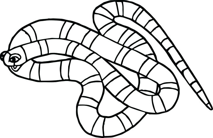 728x472 Coloring Page Snake Alligator Coloring Page Coloring Pages
