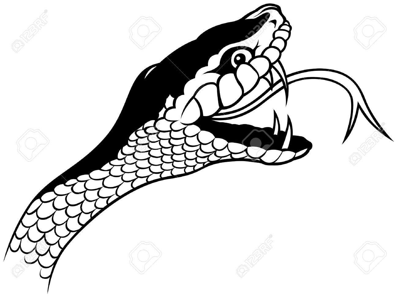 1300x976 Snake Head Clipart