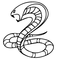 230x230 Top 25 Free Printable Snake Coloring Pages Online