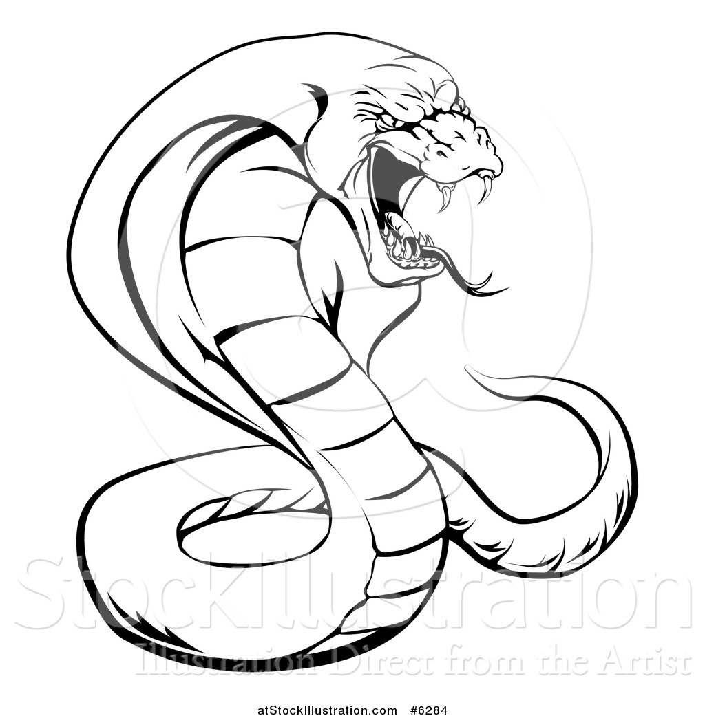 1024x1044 Vector Illustration Of A Black And White Aggressive Cobra Snake