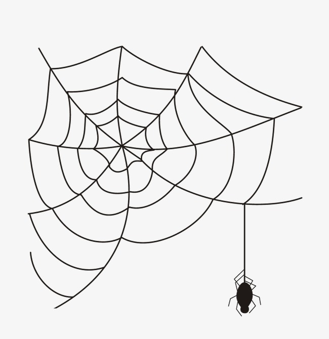 Cobweb Drawing at GetDrawings | Free download