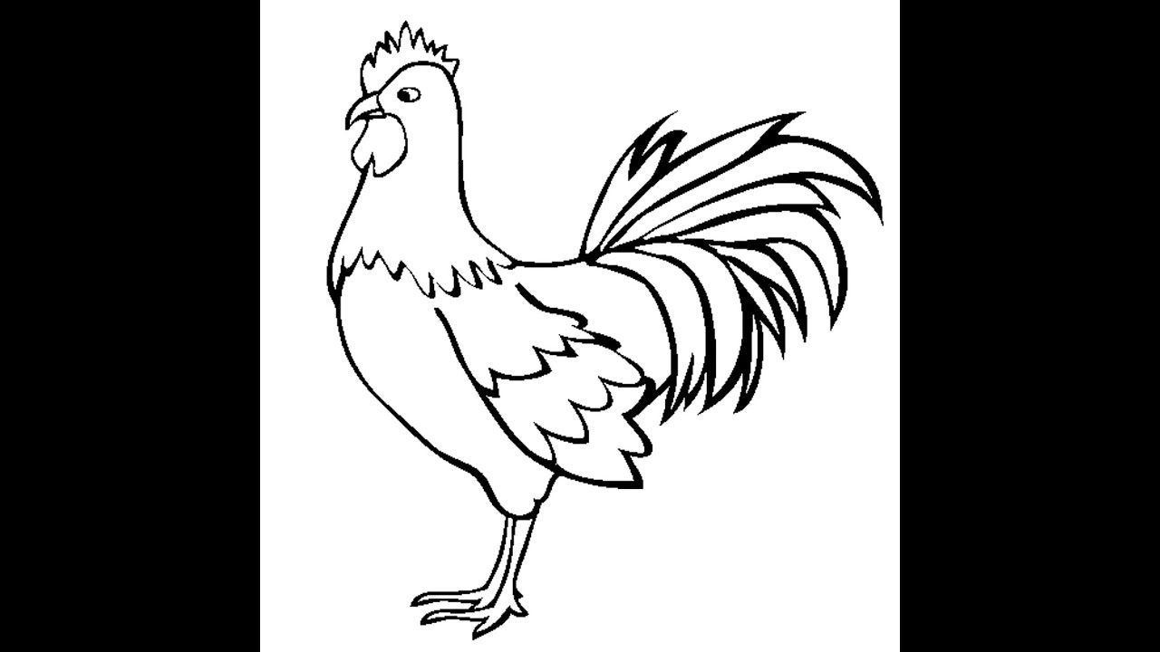 1280x720 How To Draw A Chicken (Hen) Step By Step Easily Cock Drawing