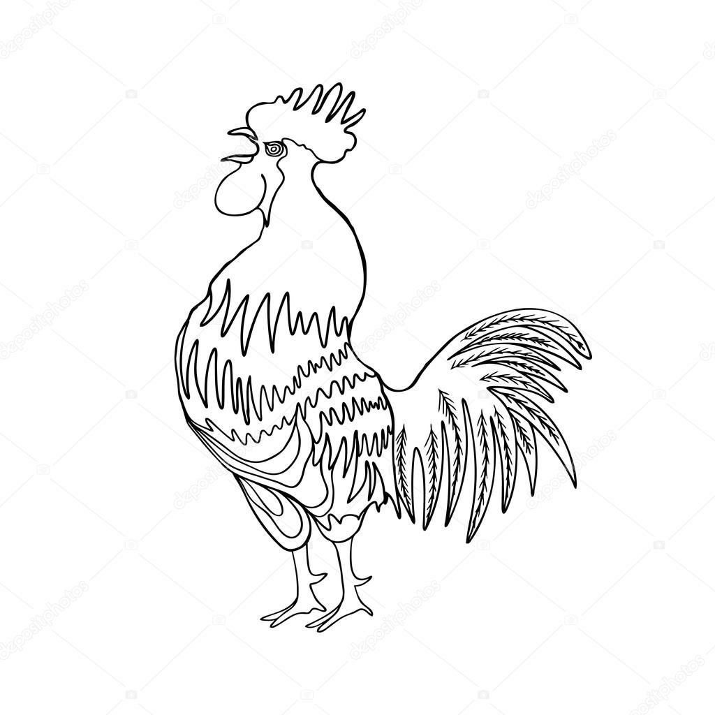 1024x1024 Image Of A Hand Drawing Cock Stock Photo Goldenshrimp