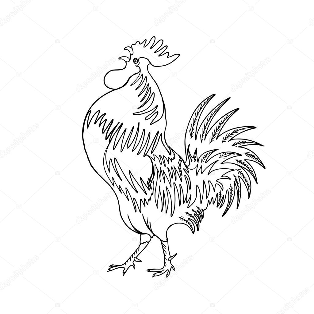 1024x1024 Image Of A Hand Drawing Cock Stock Vector Goldenshrimp