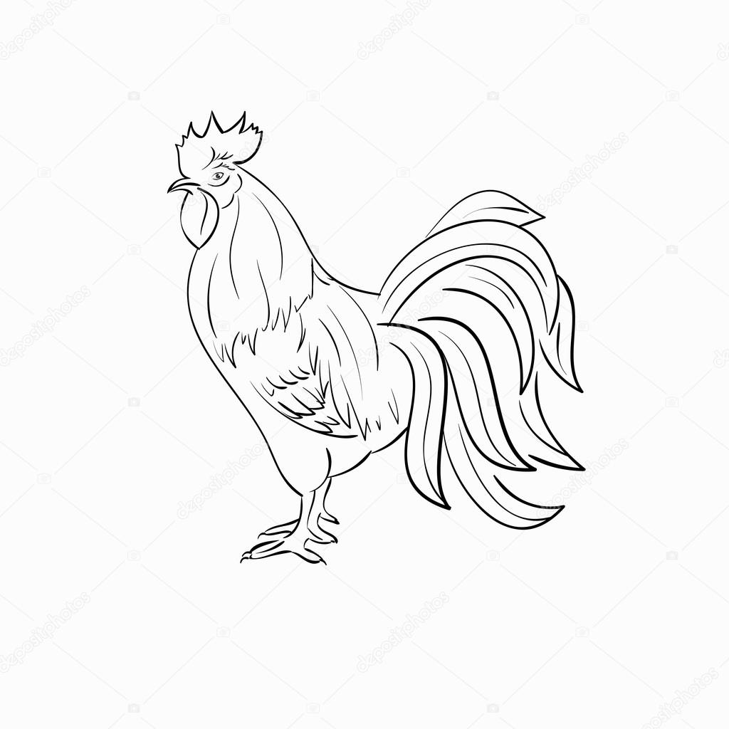 1024x1024 Rooster Black Line Art Sketch Of Cock. Stock Vector