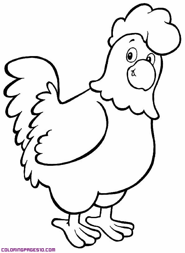 595x812 Cock For Coloring