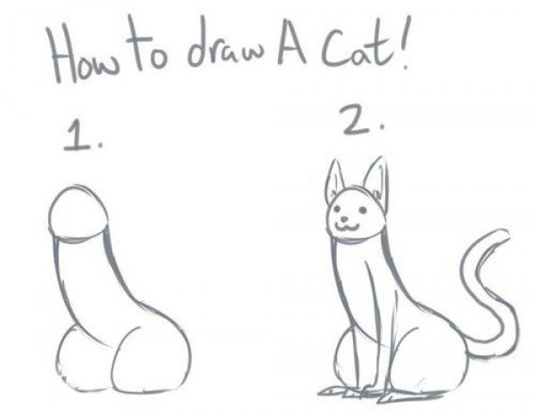 600x464 How To Draw A Penis Cat