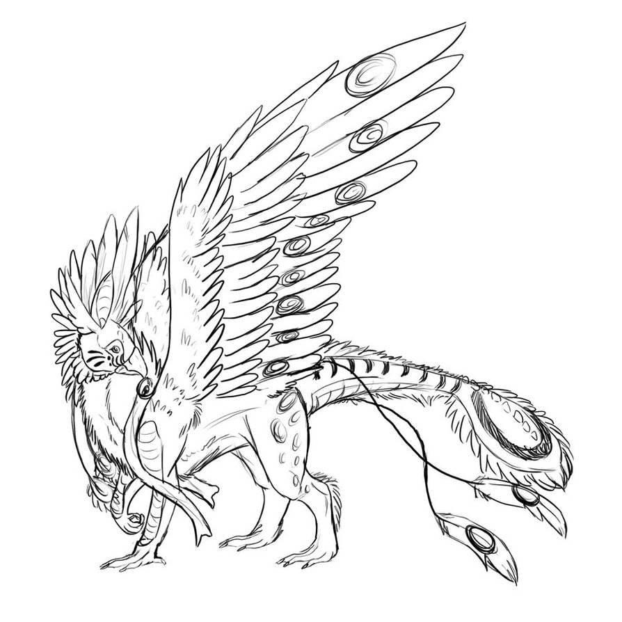 894x894 Griffin Cockatiel By Aydenna