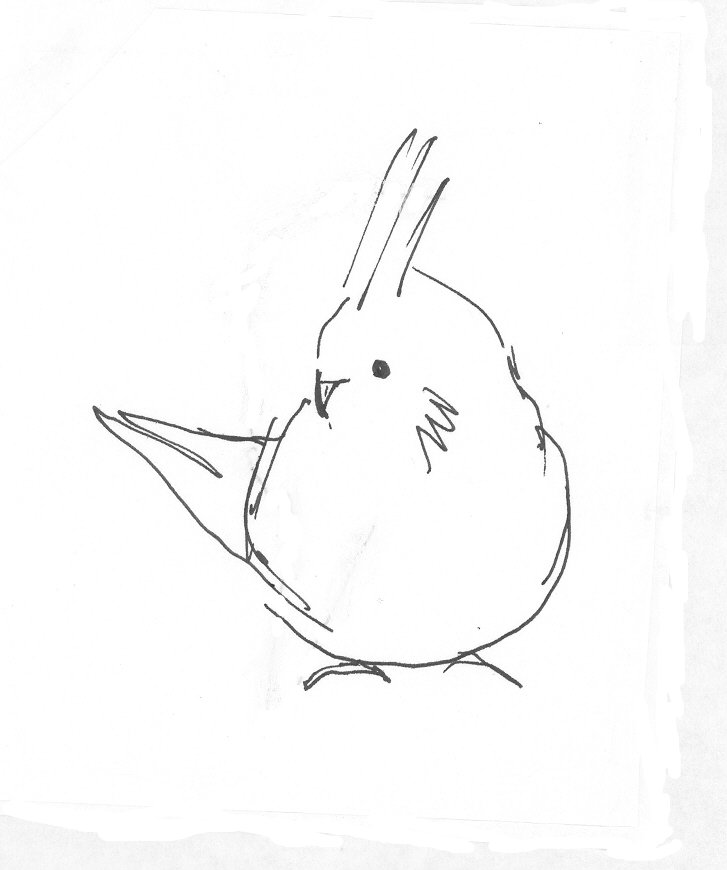 727x870 Steven Stahler's Sketches