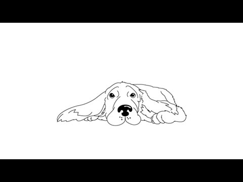 480x360 How To Draw A Cocker Spaniel