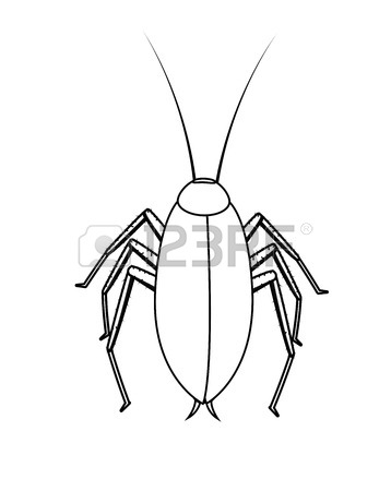 358x450 Drawing Art Of Cockroach Insect Royalty Free Cliparts, Vectors