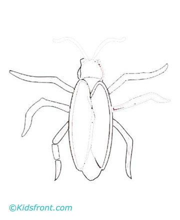 360x440 Cockroach Coloring Pages Printable