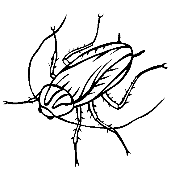 554x565 Oggy Cockroaches Coloring Pages