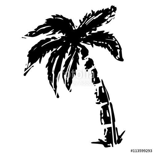 500x500 Coconut Palm Tree Black Sketch Drawing Stock Image And Royalty