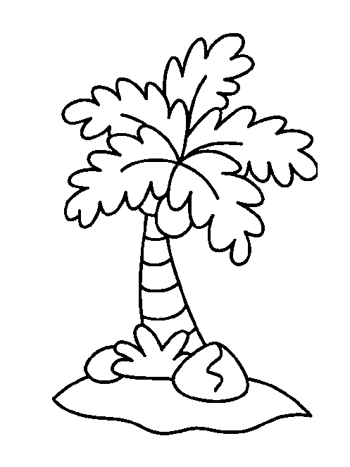 497x663 Coconut Tree