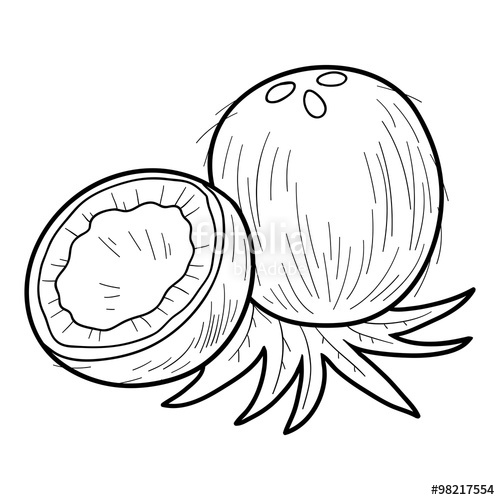 500x500 Coloring Book Fruits Vegetables (Coconut) Stock Image