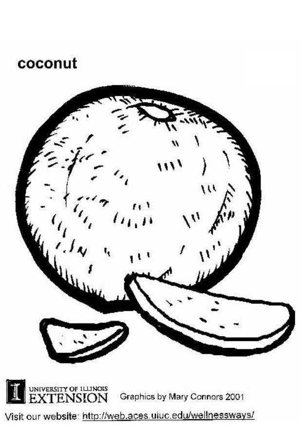 620x875 Coloring Page Coconut